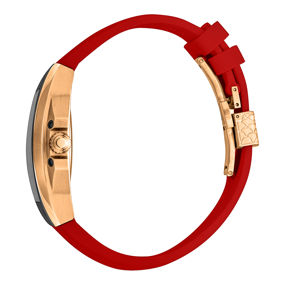 RV1G205P1051 ロベルトカヴァリ バイ フランクミュラー｜ロベルト