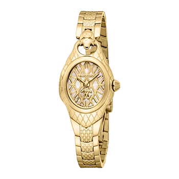 ロベルト・カヴァリ バイ フランク・ミュラー【Roberto Cavalli