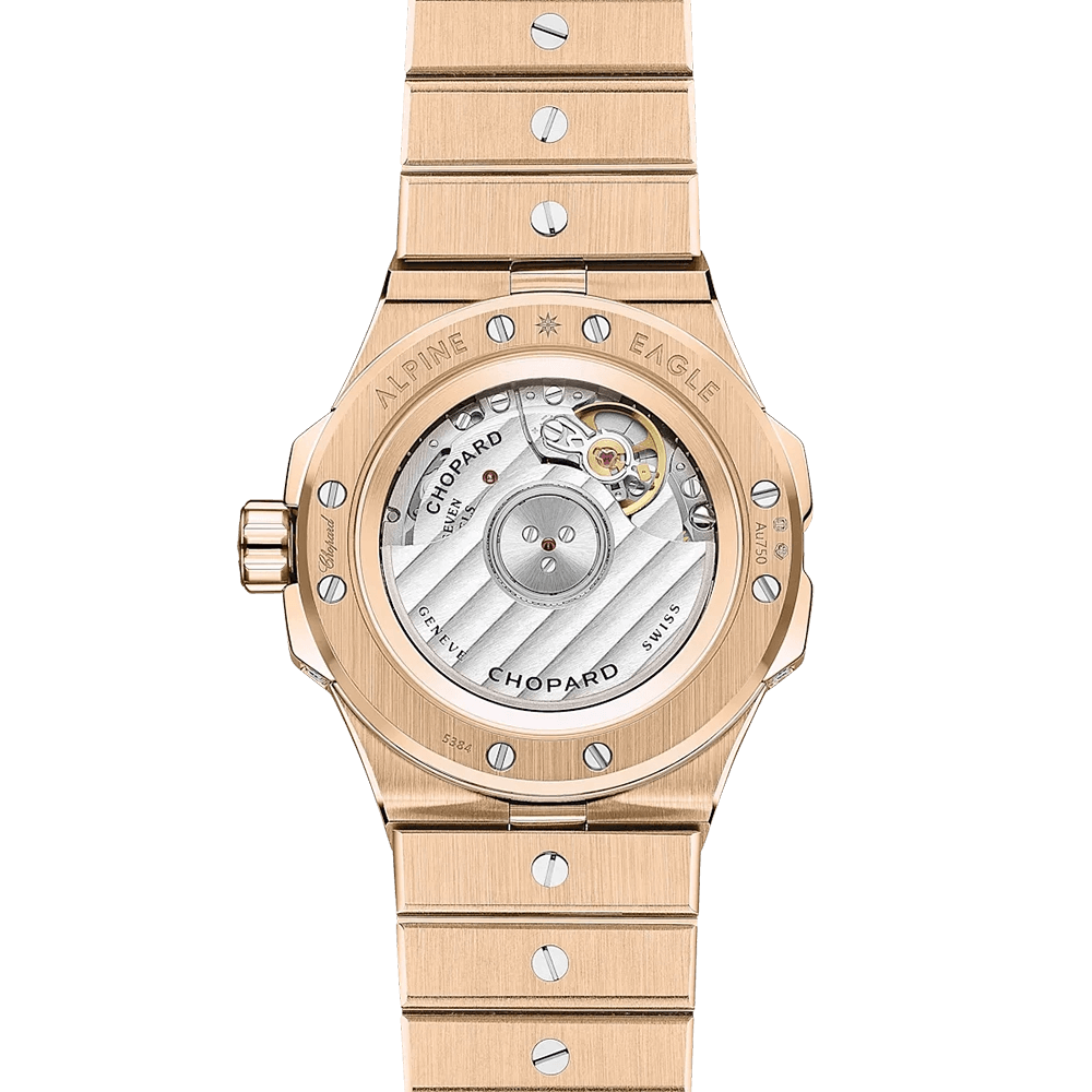 295384-5005 アルパイン イーグル 33 フローズン｜ショパール｜正規